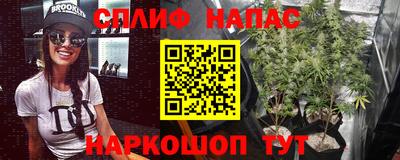 мдпв Севастополь
