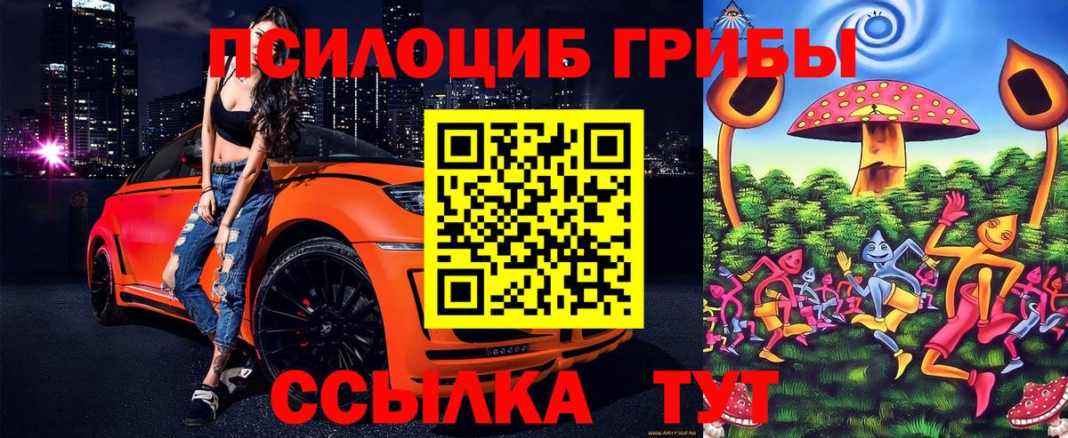 Псилоцибиновые грибы прущие грибы Сланцы