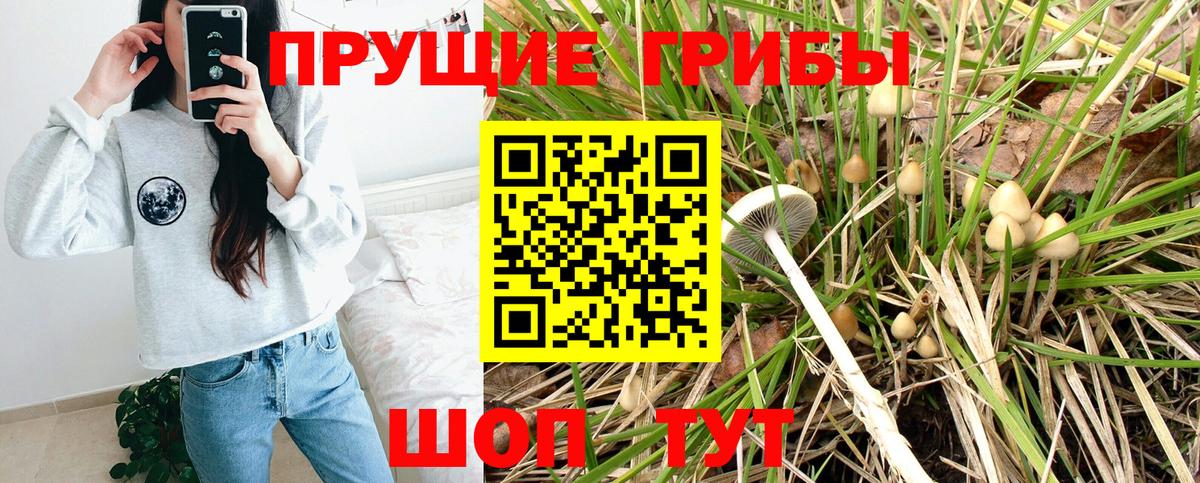 Сланцы  Псилоцибиновые грибы мухоморы  Вход с VPN 
